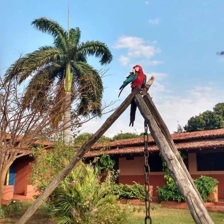 Pousada Estacao Lunar - Terra Ronca Sao Domingos de Goias Eksteriør billede